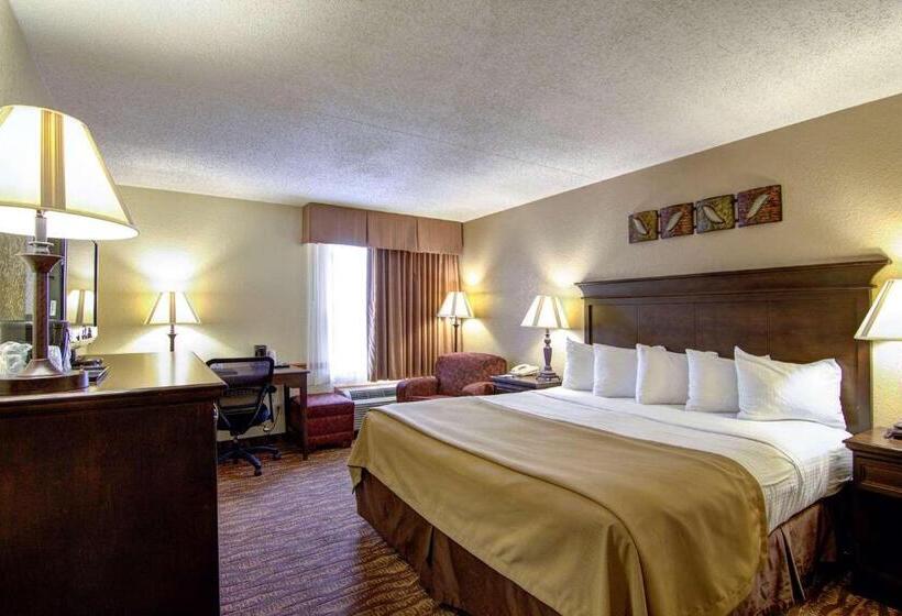 غرفة قياسية سرير كينج لذوى الإحتياجات الخاصة, Best Western Center Pointe Inn