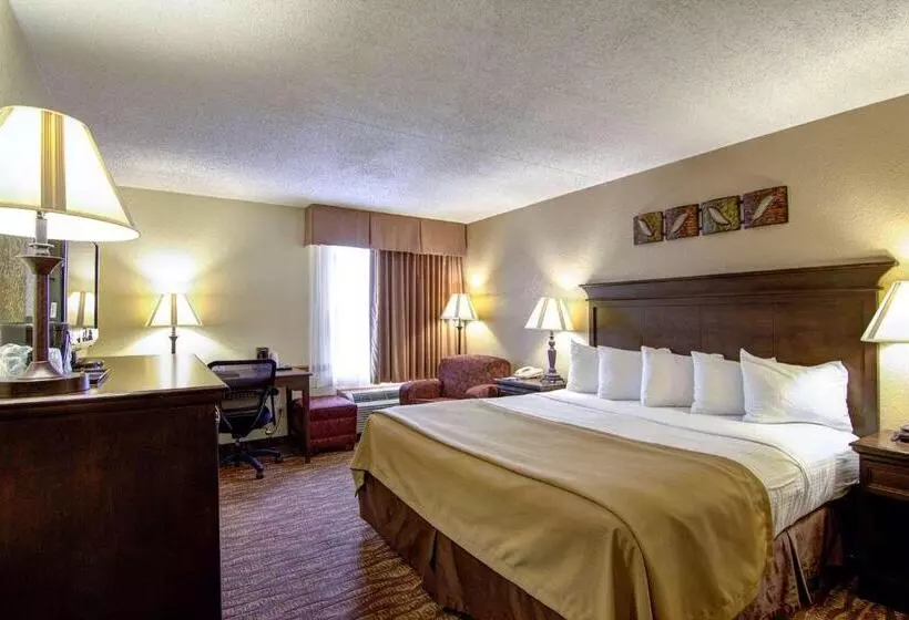 اتاق استاندارد با تخت بزرگ برای معلولان, Best Western Center Pointe Inn