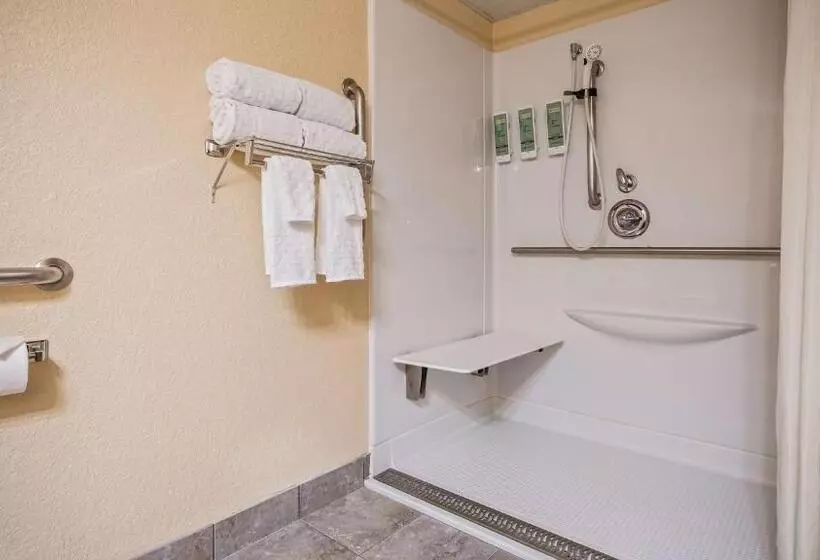 اتاق استاندارد با تخت بزرگ برای معلولان, Best Western Center Pointe Inn