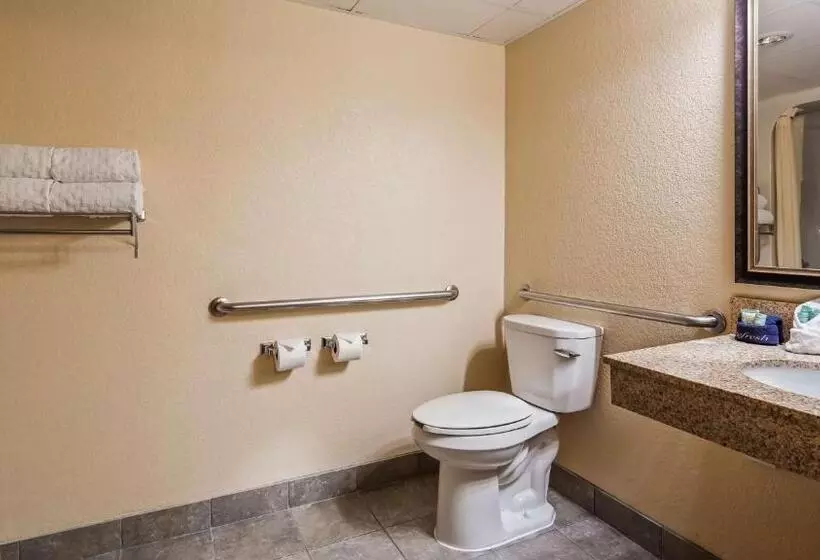اتاق استاندارد با تخت بزرگ برای معلولان, Best Western Center Pointe Inn