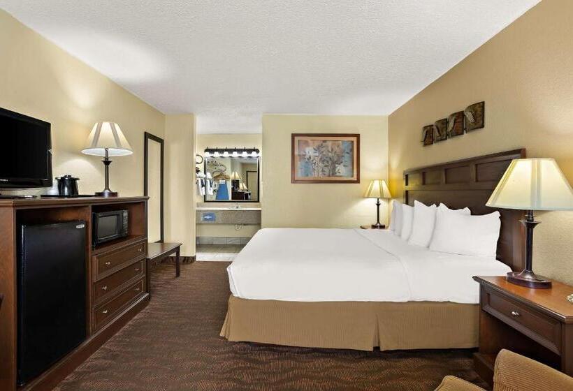 غرفة قياسية سرير كينج لذوى الإحتياجات الخاصة, Best Western Center Pointe Inn