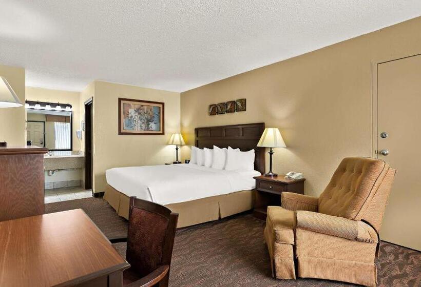 Номер Стандарт Кровать Кинг Адаптированный для Инвалидов, Best Western Center Pointe Inn