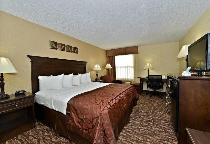 غرفة قياسية سرير كينج لذوى الإحتياجات الخاصة, Best Western Center Pointe Inn