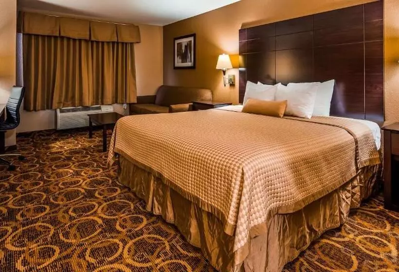 اتاق استاندارد با تخت بزرگ برای معلولان, Best Western Northwest Inn