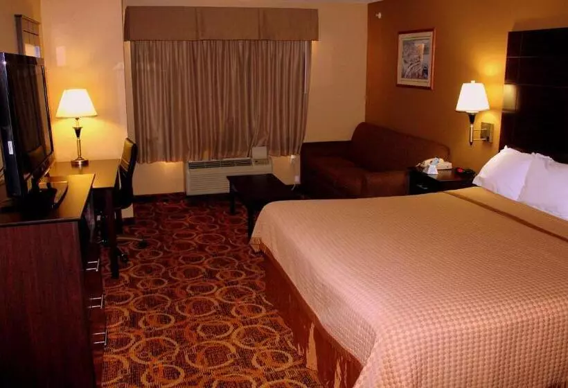 اتاق استاندارد با تخت بزرگ برای معلولان, Best Western Northwest Inn