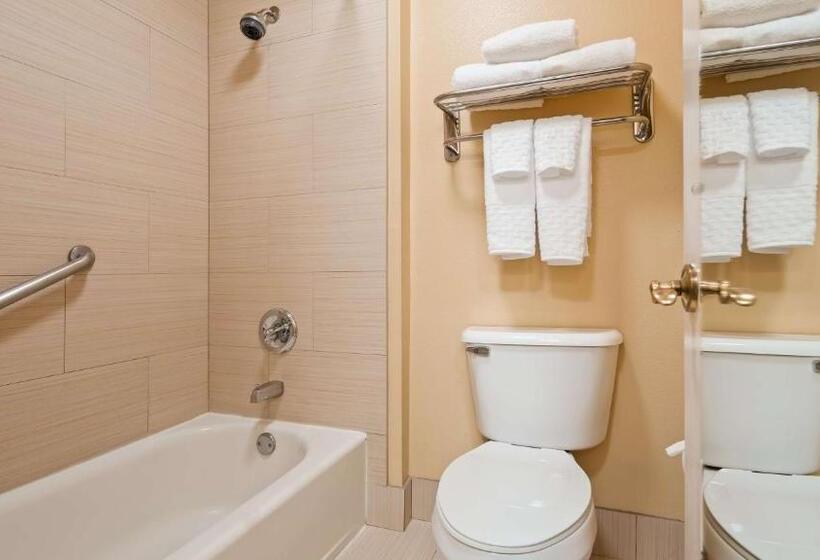 デラックスルーム, Best Western Plus Bessemer