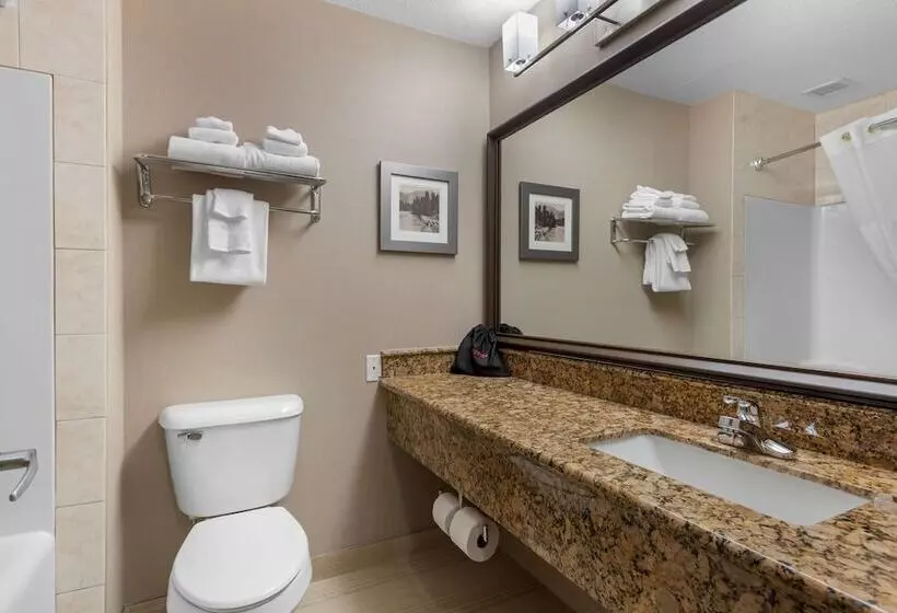 اتاق استاندارد با 2 تخت دوبل, Best Western Plus Fernie Mountain Lodge