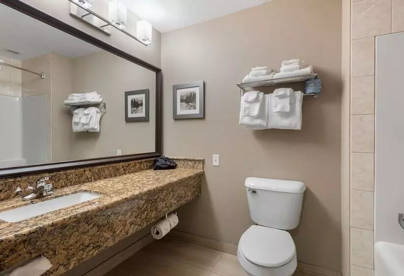 اتاق استاندارد با 2 تخت دوبل, Best Western Plus Fernie Mountain Lodge
