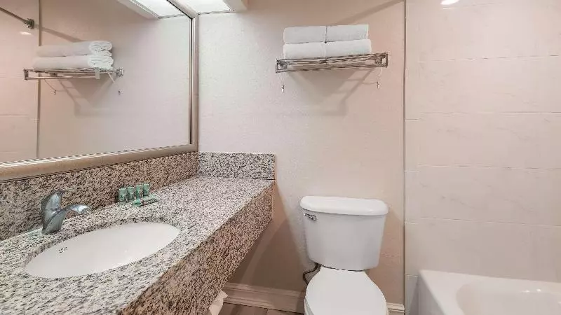 キングサイズベッドのスタンダードルーム, Best Western Tampa
