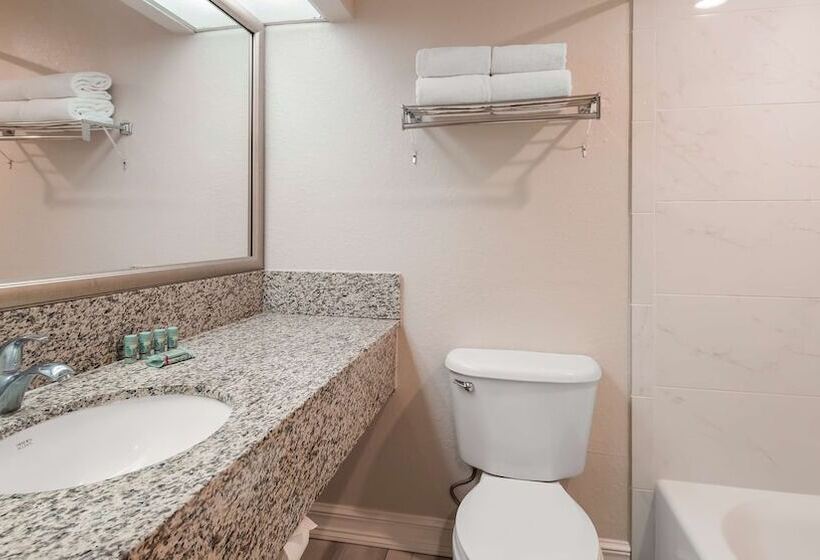 스탠다드 룸 더블 침대 2개, Best Western Tampa