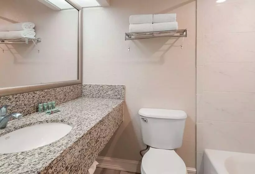 2ダブルベッドのスタンダードルーム, Best Western Tampa