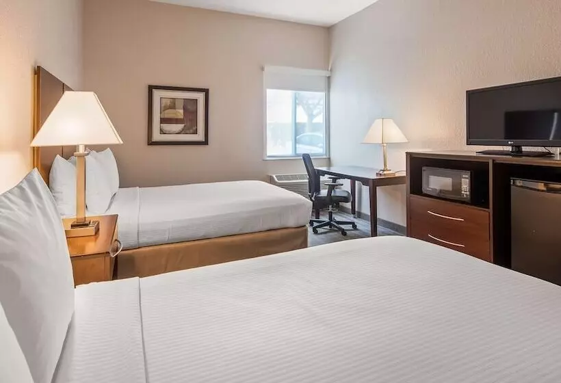 2ダブルベッドのスタンダードルーム, Best Western Tampa