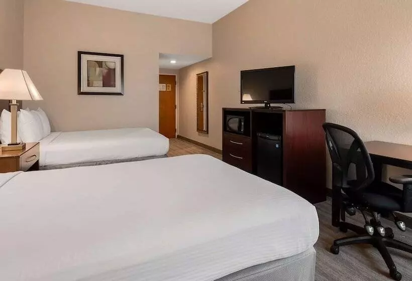 2ダブルベッドのスタンダードルーム, Best Western Tampa