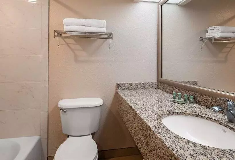 スイート, Best Western Tampa