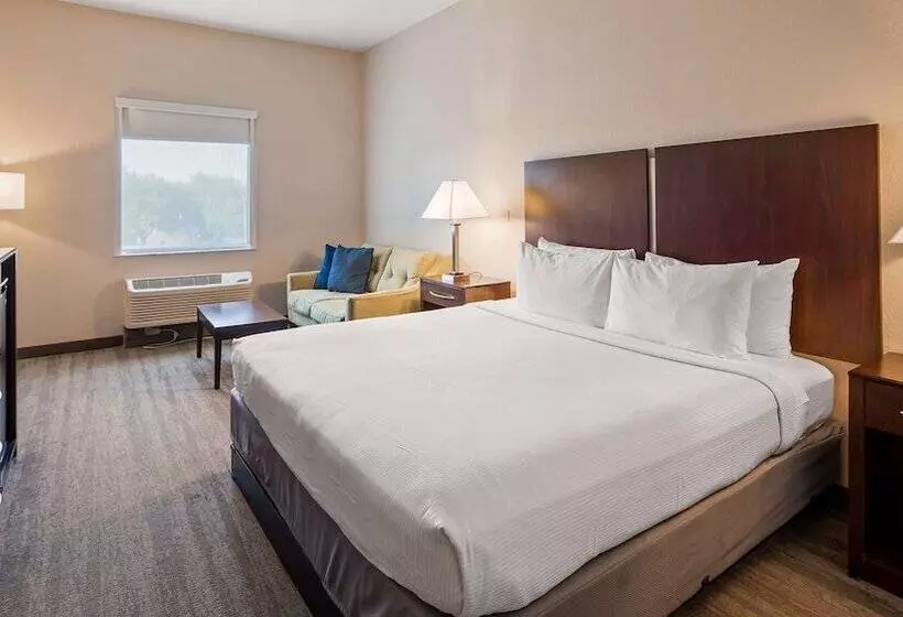 スイート, Best Western Tampa