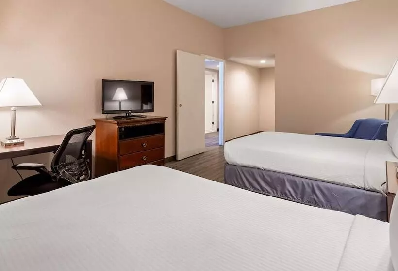 スイート, Best Western Tampa