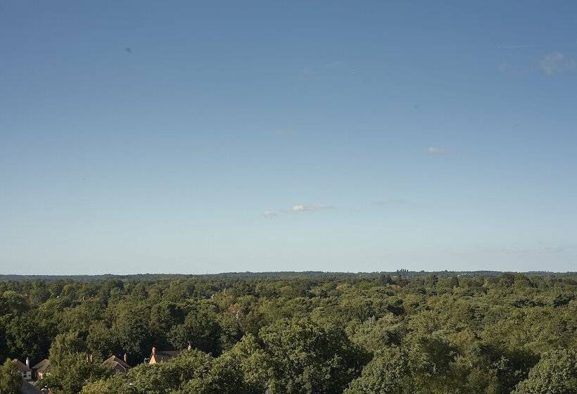 豪华房间, Doubletree By Hilton Hotel Woking