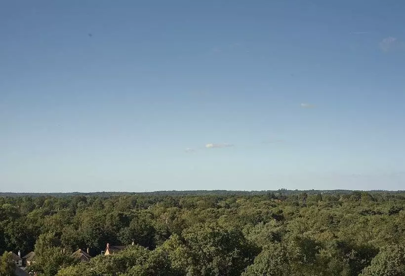 デラックスルーム, Doubletree By Hilton Hotel Woking