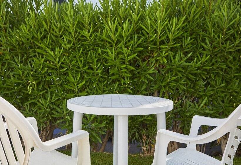 エコノミールーム, Fergus Conil Park