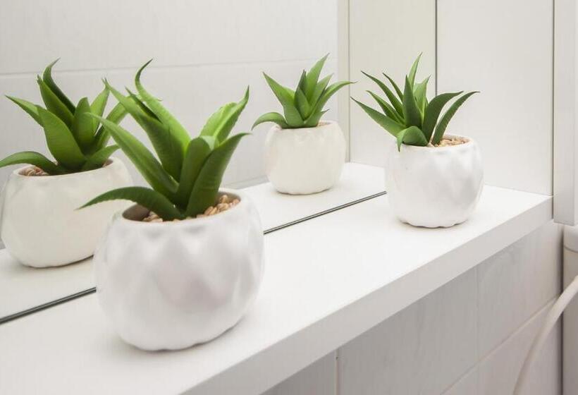 标准单人间, Apartments & Rooms Mikelin