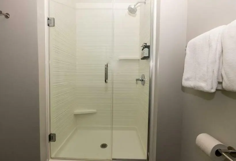 اتاق استاندارد با تخت بزرگ برای معلولان, Avid Hotels   Denver Airport Area, An Ihg