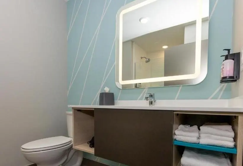 اتاق استاندارد با تخت بزرگ برای معلولان, Avid Hotels   Denver Airport Area, An Ihg
