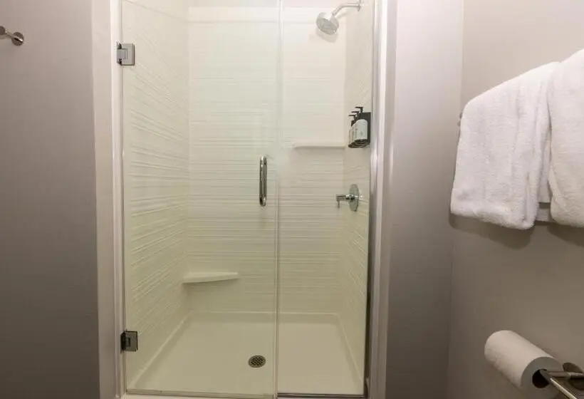 اتاق استاندارد برای معلولان, Avid Hotels   Denver Airport Area, An Ihg