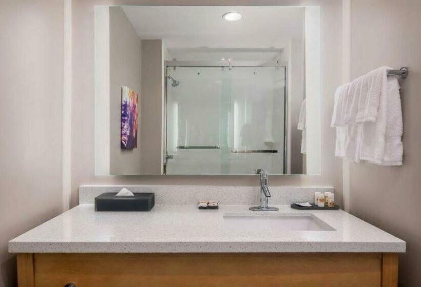 キングサイズベッドのデラックスルーム, La Quinta Inn & Suites By Wyndham Wisconsin Dells Lake Delton