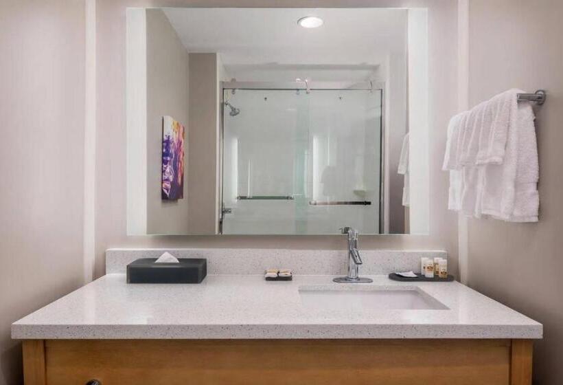身障者適用スタンダードルーム, La Quinta Inn & Suites By Wyndham Wisconsin Dells Lake Delton