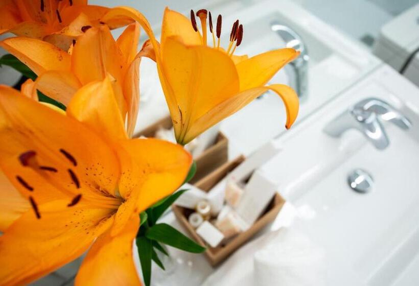 استودیوی لوکس, Plazuela Del Carbón Suites