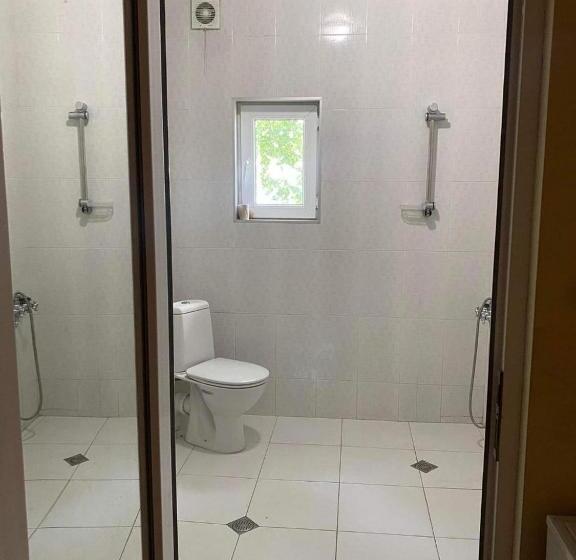 اتاق لوکس سه تخته, Kanudosi