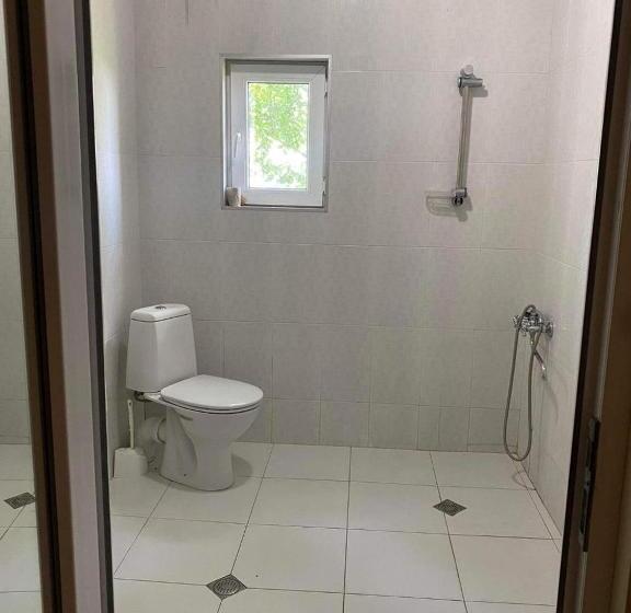 اتاق لوکس سه تخته, Kanudosi