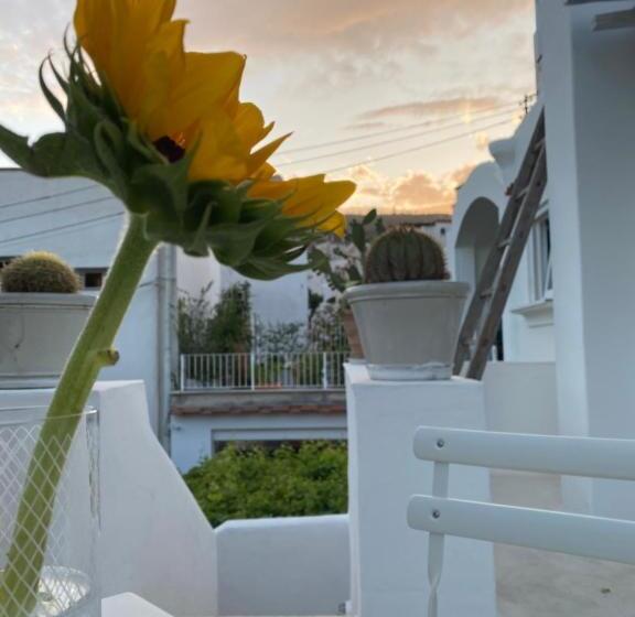 اتاق استاندارد, Suites Edivino Design Capri