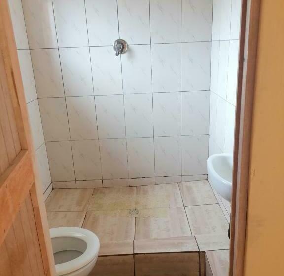 اتاق عادی, Olive Shade B&b