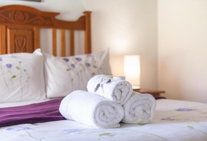 غرفة قياسية مطلّة علي الحديقة, Leo Guest House