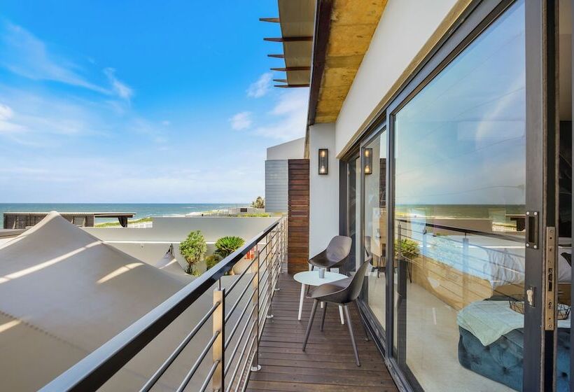 Номер Стандарт, North Star Micro