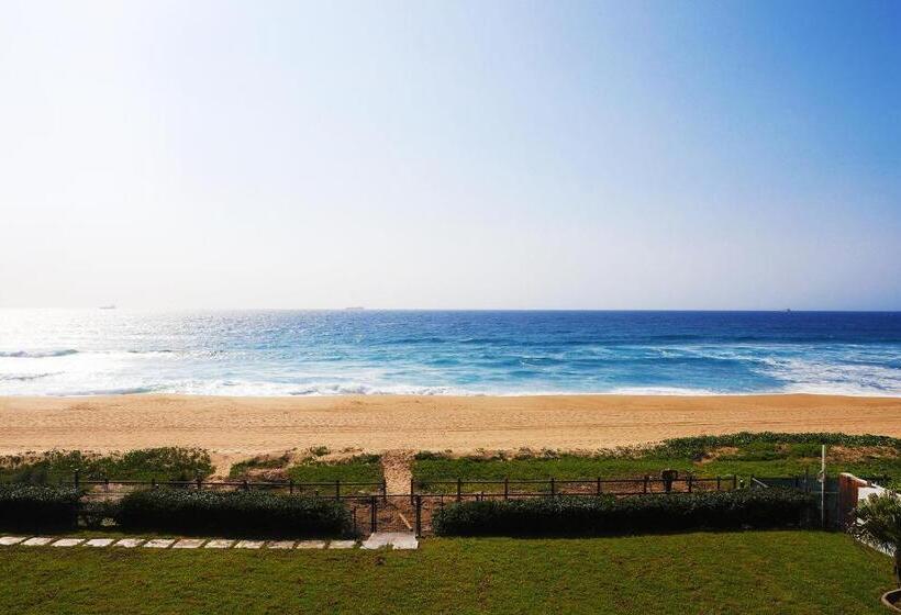 غرفة قياسية مزوَّدة بشُرفة, North Star Micro