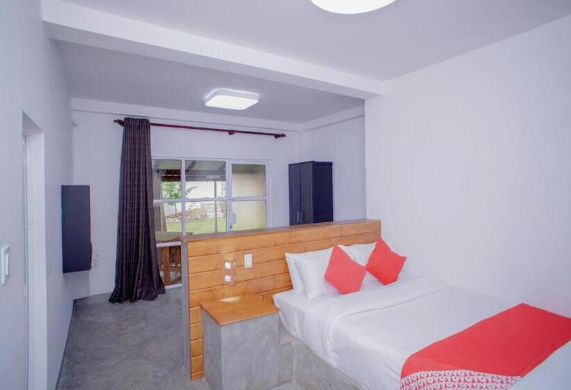 豪华房间, Pineview