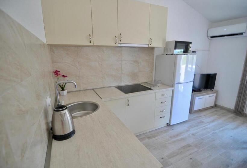 اتاق استاندارد با بالکن, Neðo Apartments Brda