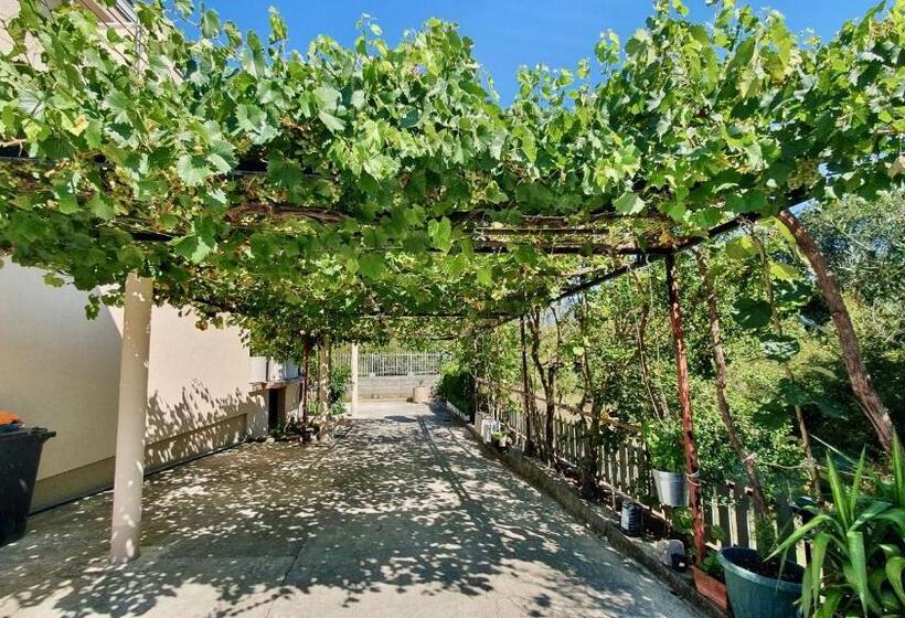 اتاق استاندارد با بالکن, Neðo Apartments Brda