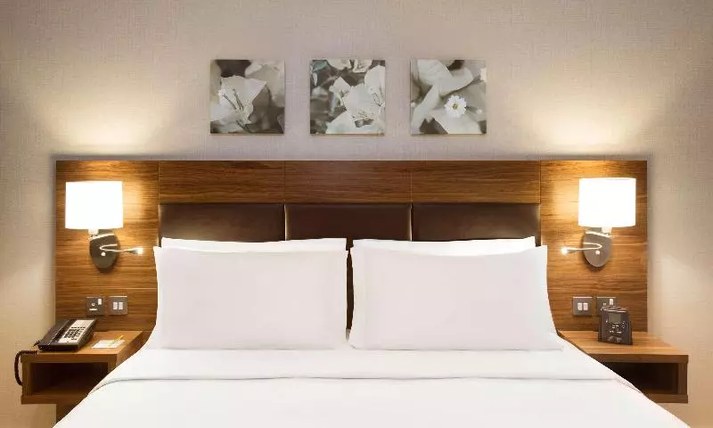 سوئیت با تخت بزرگ, Hilton Garden Inn Ras Al Khaimah