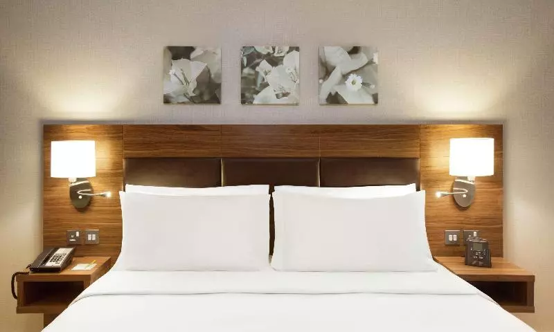 اتاق استاندارد با تخت بزرگ, Hilton Garden Inn Ras Al Khaimah