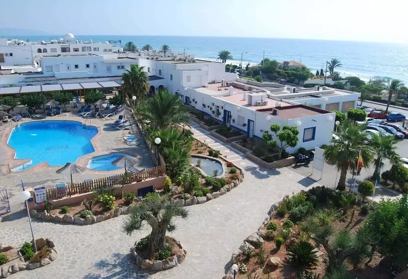 اتاق استاندارد, Puntazo Ii