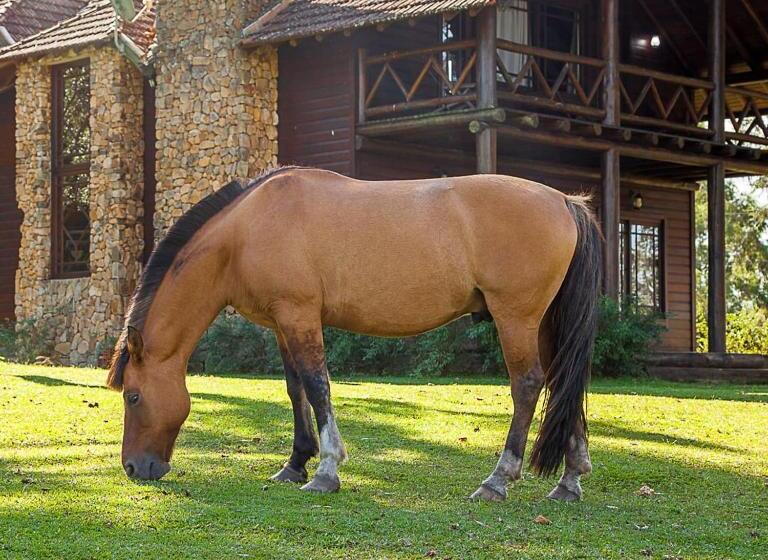 一居室别墅, Aires De Patagonia