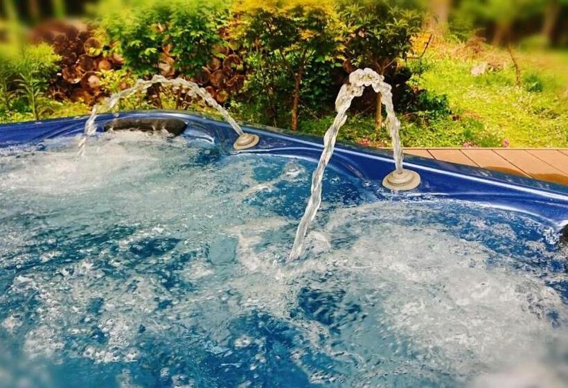 اتاق استاندارد بدون تهویه هوا, Kakureyado Fujikawaguchiko