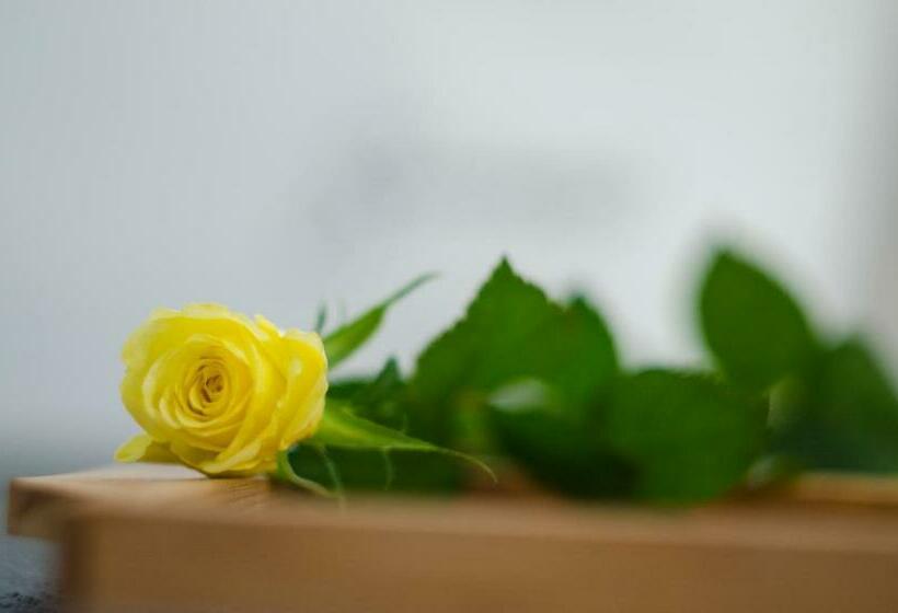 اتاق استاندارد, Serendipity