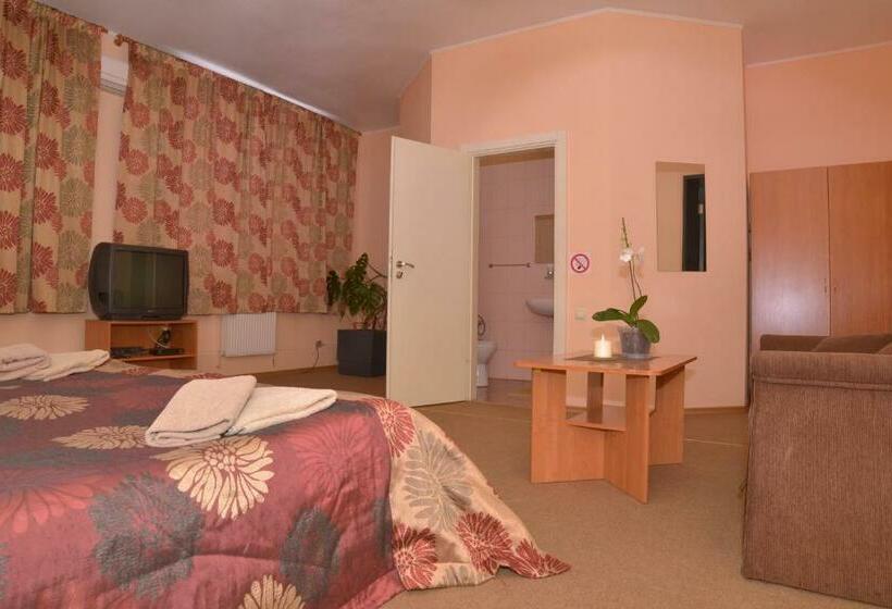 اتاق استاندارد, отель экспресс