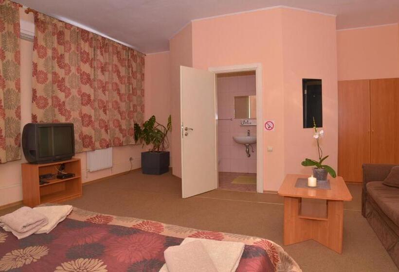 اتاق استاندارد, отель экспресс