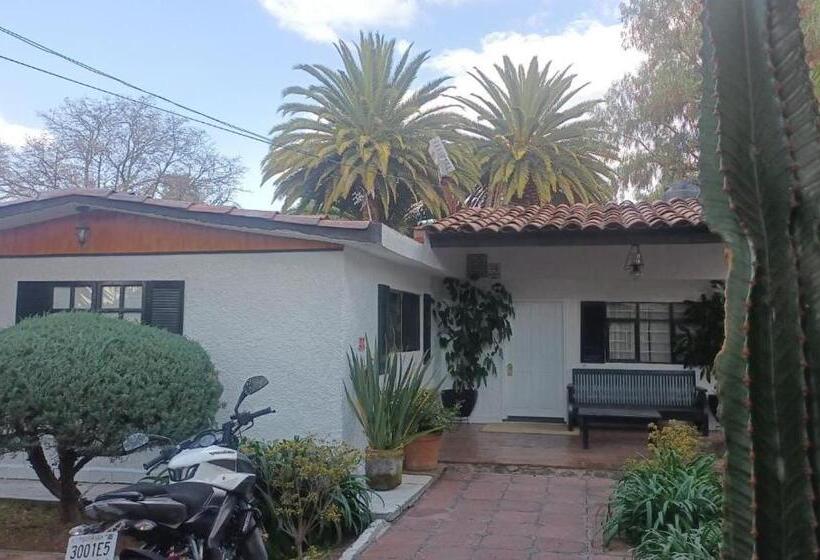 家庭间, Palmas Teotihuacán