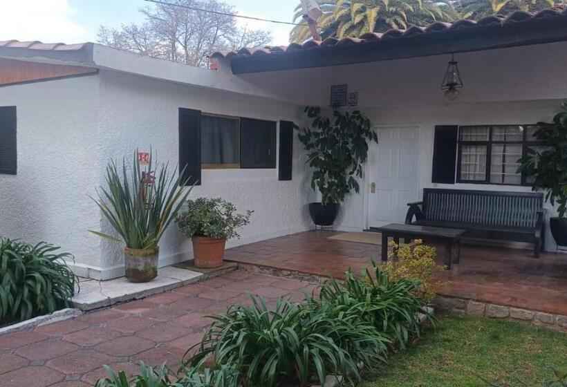 家庭间, Palmas Teotihuacán